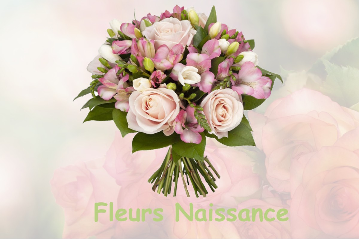 fleurs naissance LENTILLAC-DU-CAUSSE