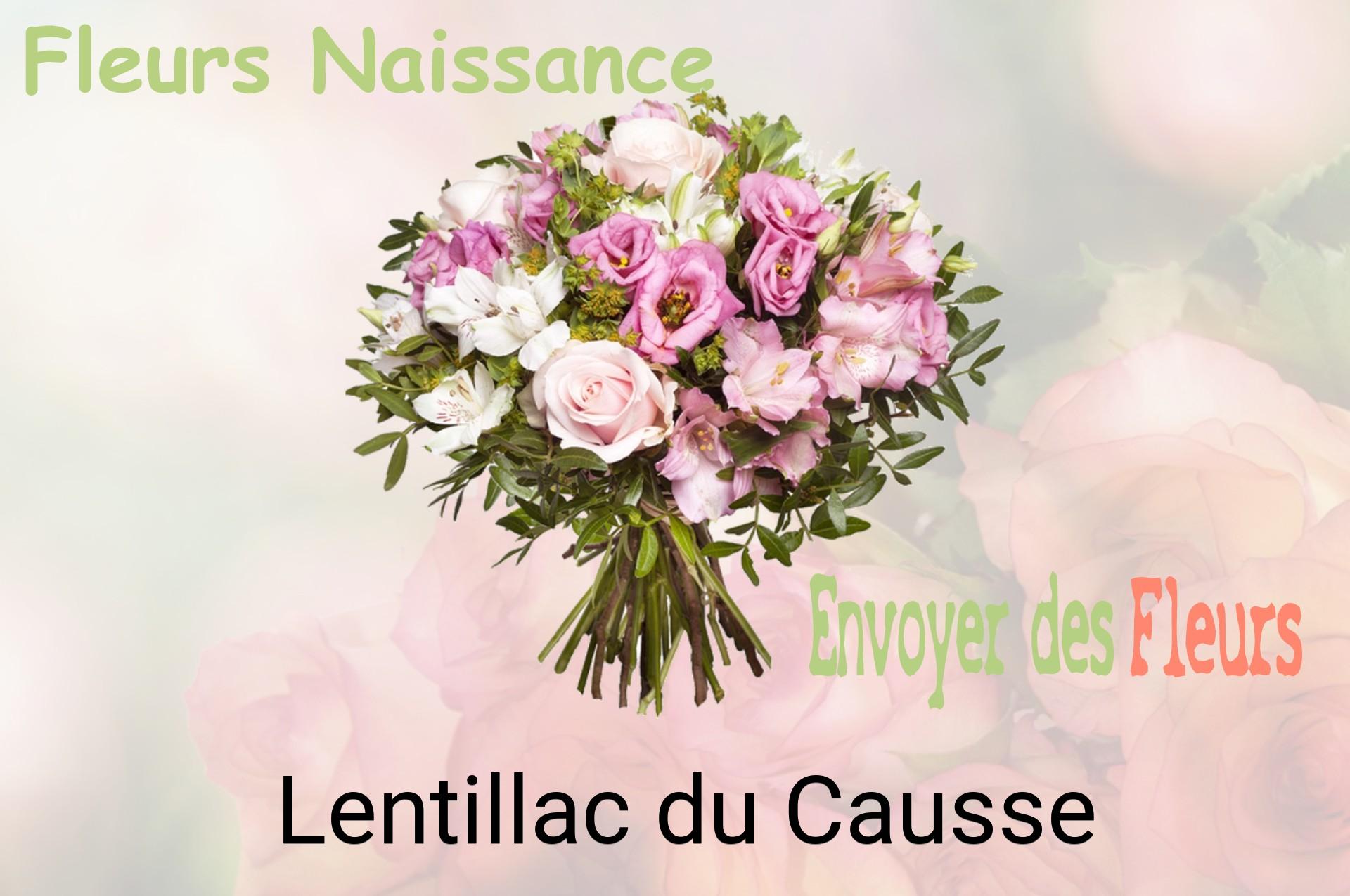 Bouquet de fleurs de naissance livré à Lentillac-du-Causse
